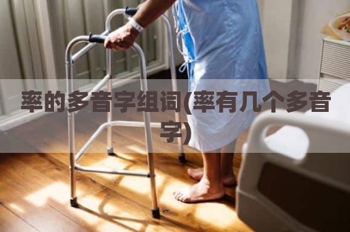 率的多音字组词(率有几个多音字)