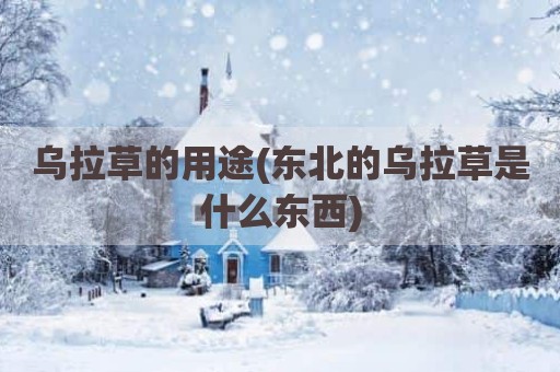 乌拉草的用途(东北的乌拉草是什么东西)