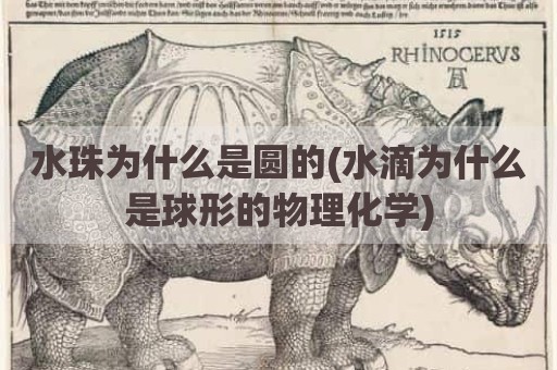 水珠为什么是圆的(水滴为什么是球形的物理化学)