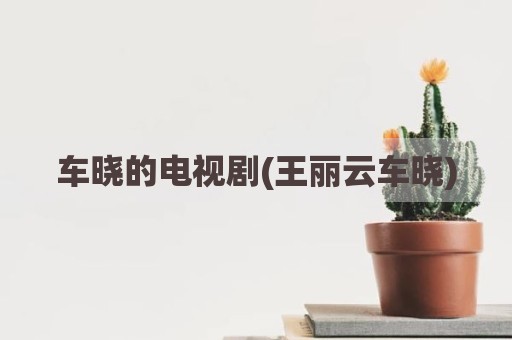 车晓的电视剧(王丽云车晓)