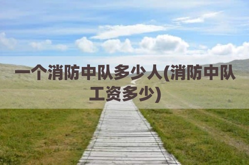 一个消防中队多少人(消防中队工资多少)