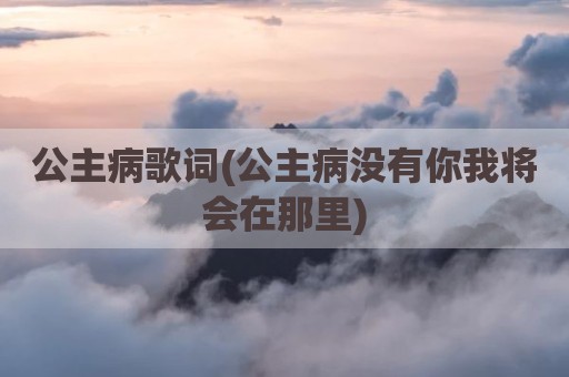 公主病歌词(公主病没有你我将会在那里)