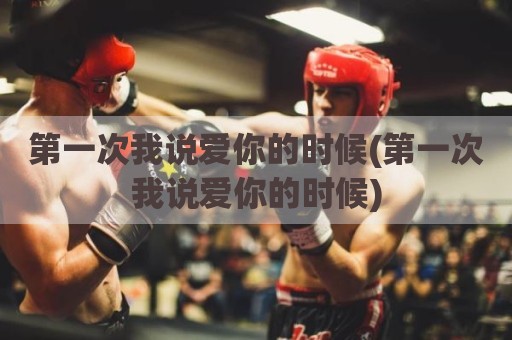 第一次我说爱你的时候(第一次我说爱你的时候)