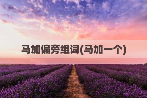 马加偏旁组词(马加一个)