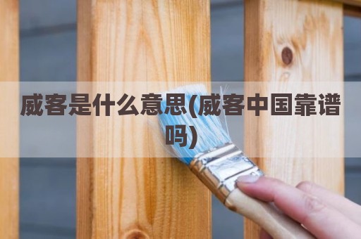 威客是什么意思(威客中国靠谱吗)