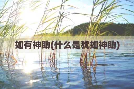 如有神助(什么是犹如神助)