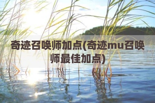 奇迹召唤师加点(奇迹mu召唤师最佳加点)