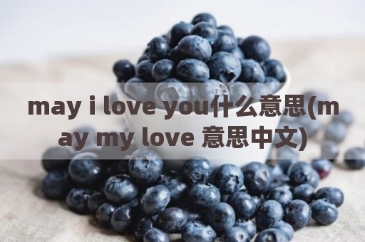 may i love you什么意思(may my love 意思中文)