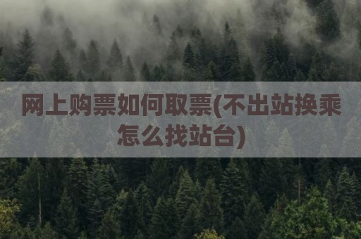 网上购票如何取票(不出站换乘怎么找站台)