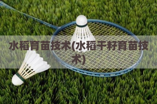 水稻育苗技术(水稻干籽育苗技术)