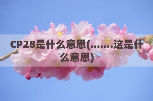 CP28是什么意思(.......这是什么意思)