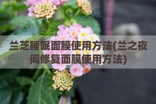 兰芝睡眠面膜使用方法(兰之夜间修复面膜使用方法)