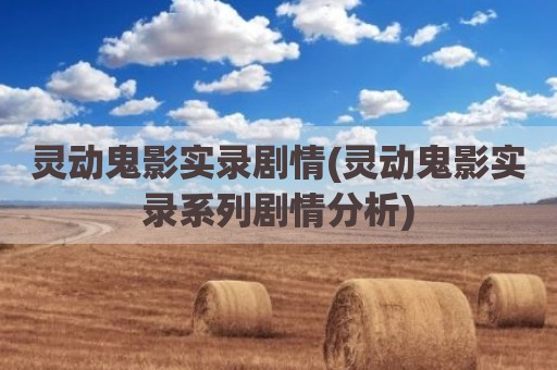 灵动鬼影实录剧情(灵动鬼影实录系列剧情分析)