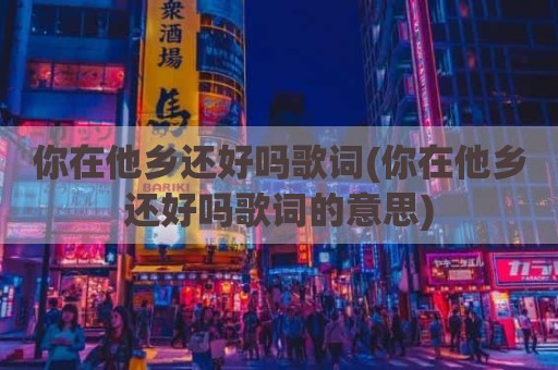 你在他乡还好吗歌词(你在他乡还好吗歌词的意思)