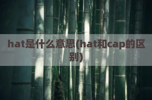 hat是什么意思(hat和cap的区别)