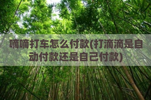 嘀嘀打车怎么付款(打滴滴是自动付款还是自己付款)
