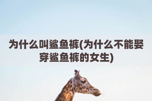 为什么叫鲨鱼裤(为什么不能娶穿鲨鱼裤的女生)