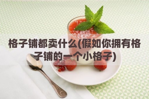 格子铺都卖什么(假如你拥有格子铺的一个小格子)