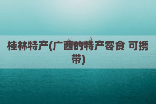 桂林特产(广西的特产零食 可携带)