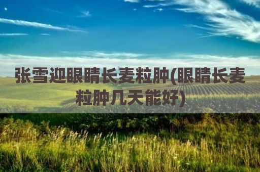 张雪迎眼睛长麦粒肿(眼睛长麦粒肿几天能好)