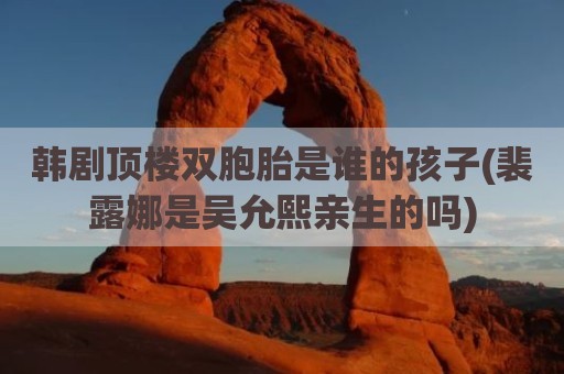 韩剧顶楼双胞胎是谁的孩子(裴露娜是吴允熙亲生的吗)