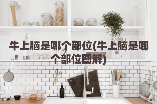 牛上脑是哪个部位(牛上脑是哪个部位图解)