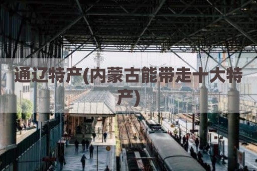 通辽特产(内蒙古能带走十大特产)