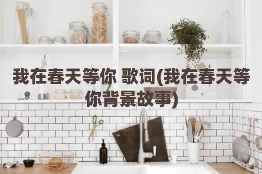 我在春天等你 歌词(我在春天等你背景故事)