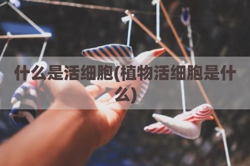 什么是活细胞(植物活细胞是什么)
