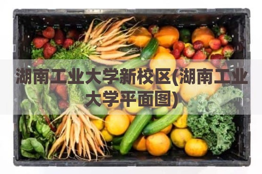 湖南工业大学新校区(湖南工业大学平面图)