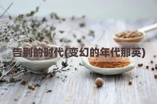 告别的时代(变幻的年代那英)