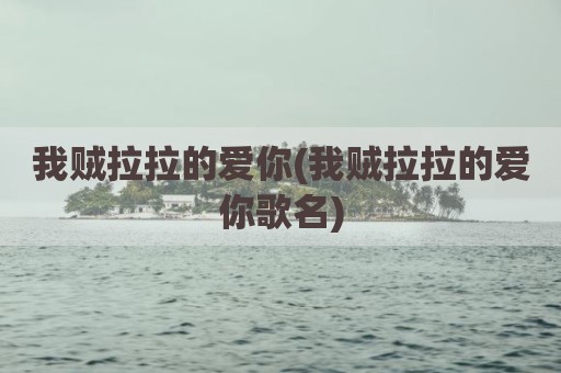 我贼拉拉的爱你(我贼拉拉的爱你歌名)