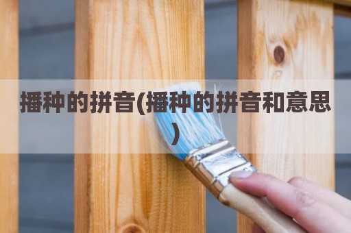 播种的拼音(播种的拼音和意思)