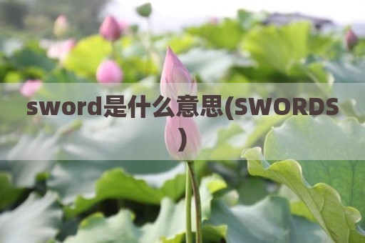 sword是什么意思(SWORDS)