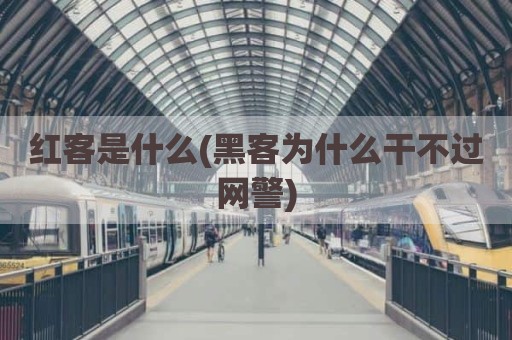 红客是什么(黑客为什么干不过网警)