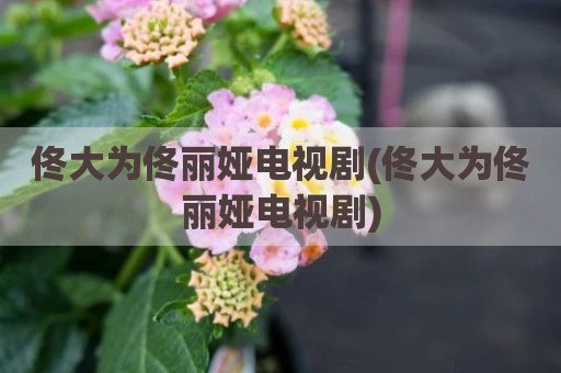 佟大为佟丽娅电视剧(佟大为佟丽娅电视剧)