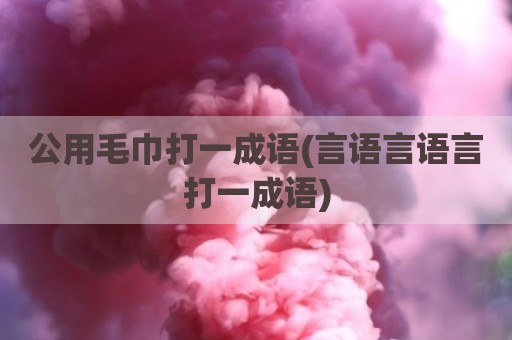 公用毛巾打一成语(言语言语言打一成语)
