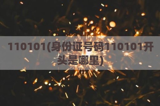 110101(身份证号码110101开头是哪里)