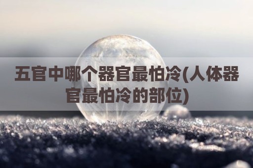 五官中哪个器官最怕冷(人体器官最怕冷的部位)