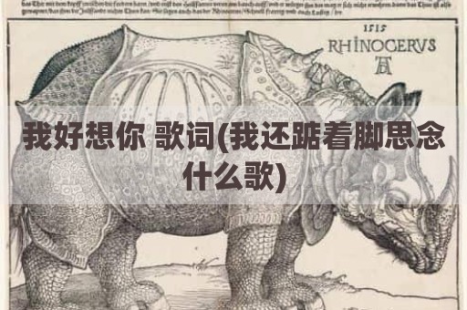 我好想你 歌词(我还踮着脚思念什么歌)