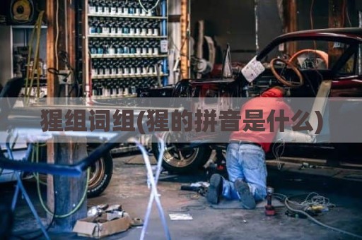 猩组词组(猩的拼音是什么)