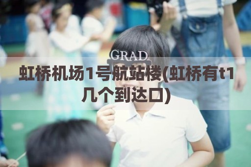 虹桥机场1号航站楼(虹桥有t1几个到达口)