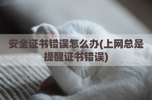 安全证书错误怎么办(上网总是提醒证书错误)