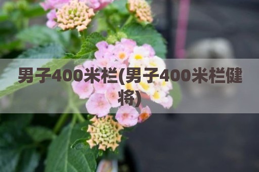 男子400米栏(男子400米栏健将)