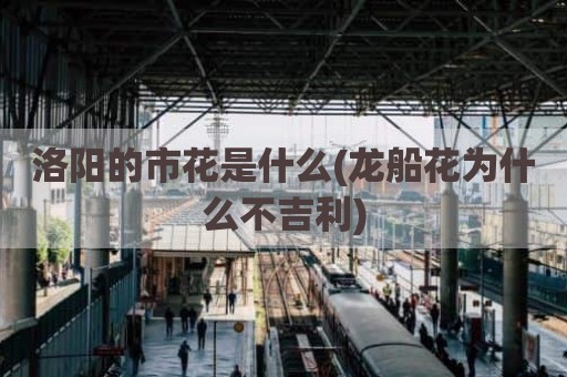 洛阳的市花是什么(龙船花为什么不吉利)