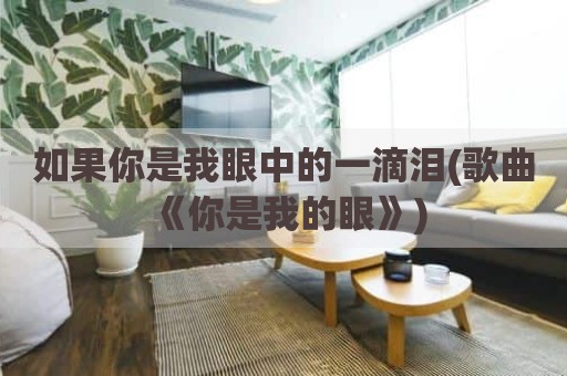 如果你是我眼中的一滴泪(歌曲《你是我的眼》)