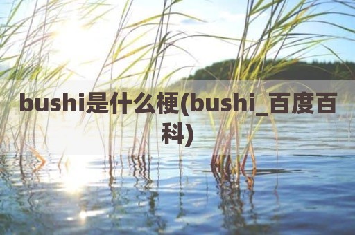 bushi是什么梗(bushi_百度百科)