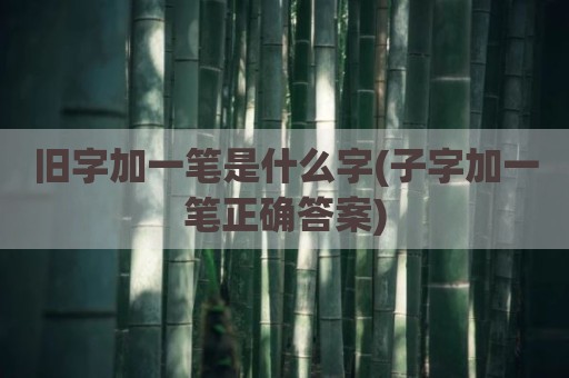 旧字加一笔是什么字(子字加一笔正确答案)