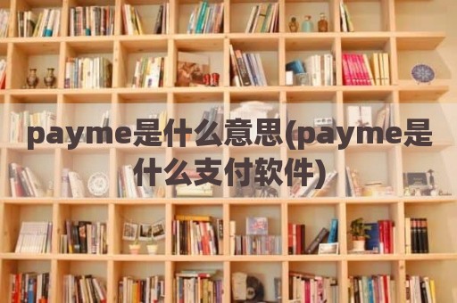 payme是什么意思(payme是什么支付软件)