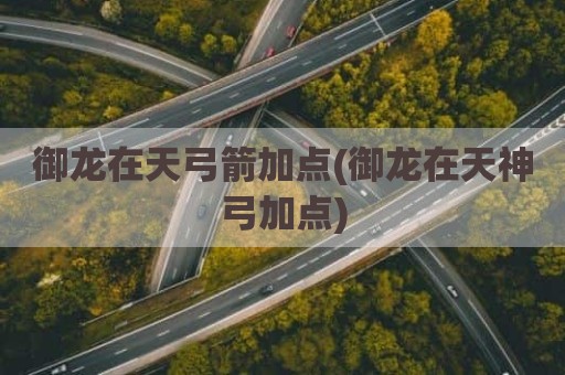 御龙在天弓箭加点(御龙在天神弓加点)